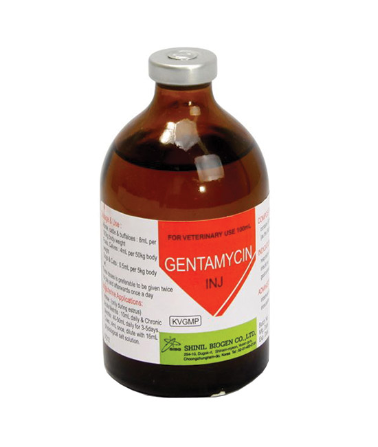 Gentamycin Inj